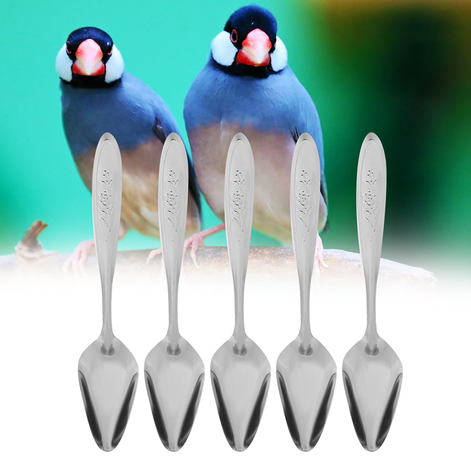 5Pcs Parrot's Milk Powder Stainless Steel Spoon For Pet Birds Feeding Spoons