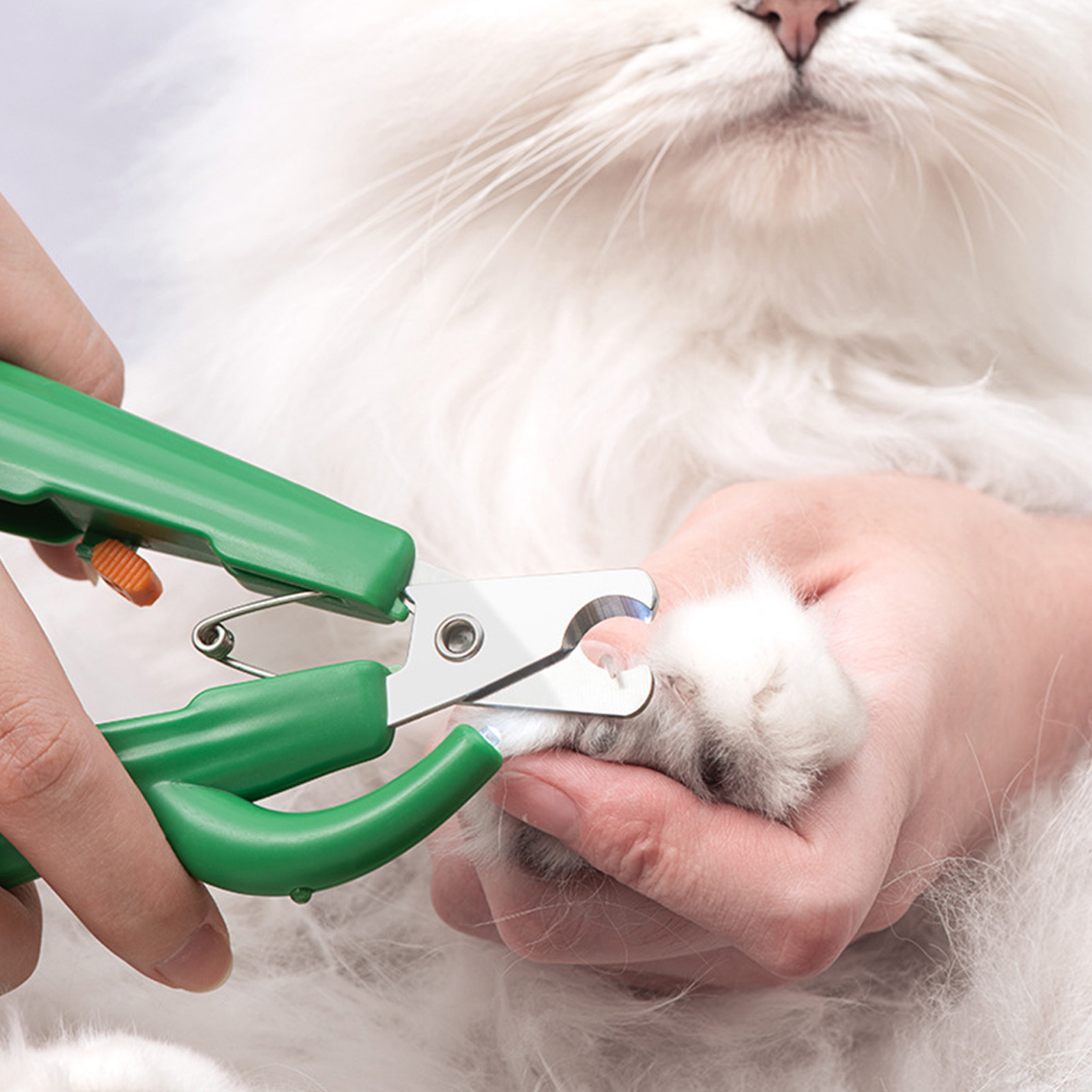 LED Cactus Shape Nail Clipper for Pets, Stainless Steel Blades, Ergonomic Handle, Claw Trimmer for Dogs and Cats, Cute