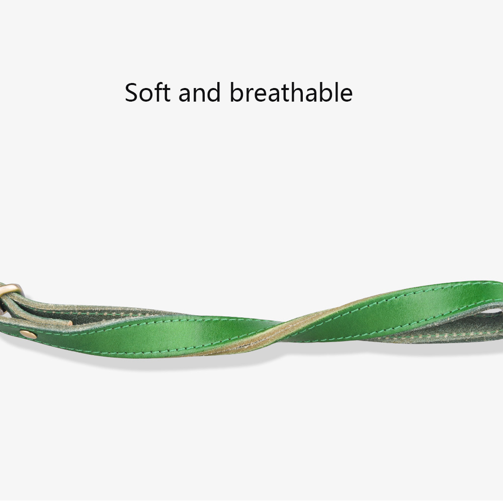 Leather Pet Collar,Adjustable Medium Large Dog Collar with High-end Hardware Accessories for Dog Walking & Training Pet Supplies