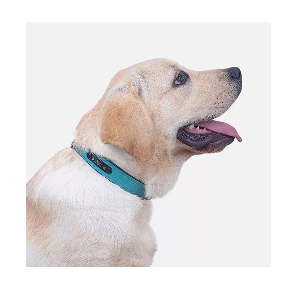 Luxury Adjustable Double Layer PU Leather Pet Collar Comfort Padded Waterproof Custom Name Tag Small Large Size Animal Pattern