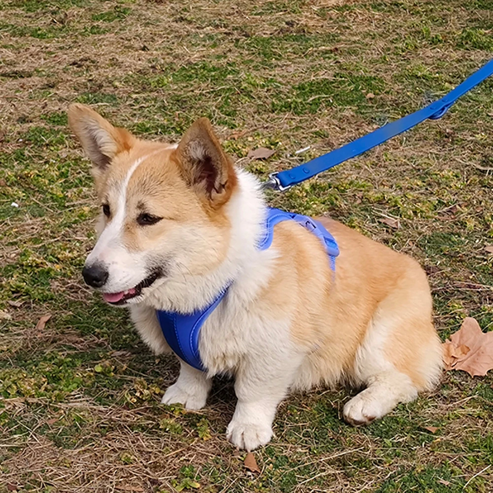 Dog Harness for Medium Dogs,No Pull Dog Harness,No Choke Front Clip Harness Dog,Adjustable Soft Padded Pet Vest Dog Walking