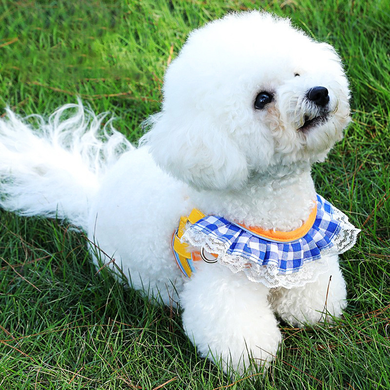 Cat Leash and Harness Set Adjustable Dog Harness 150cm Dog Leash with Lace Trim Comfortable Breathable Mesh for Cats and Puppies