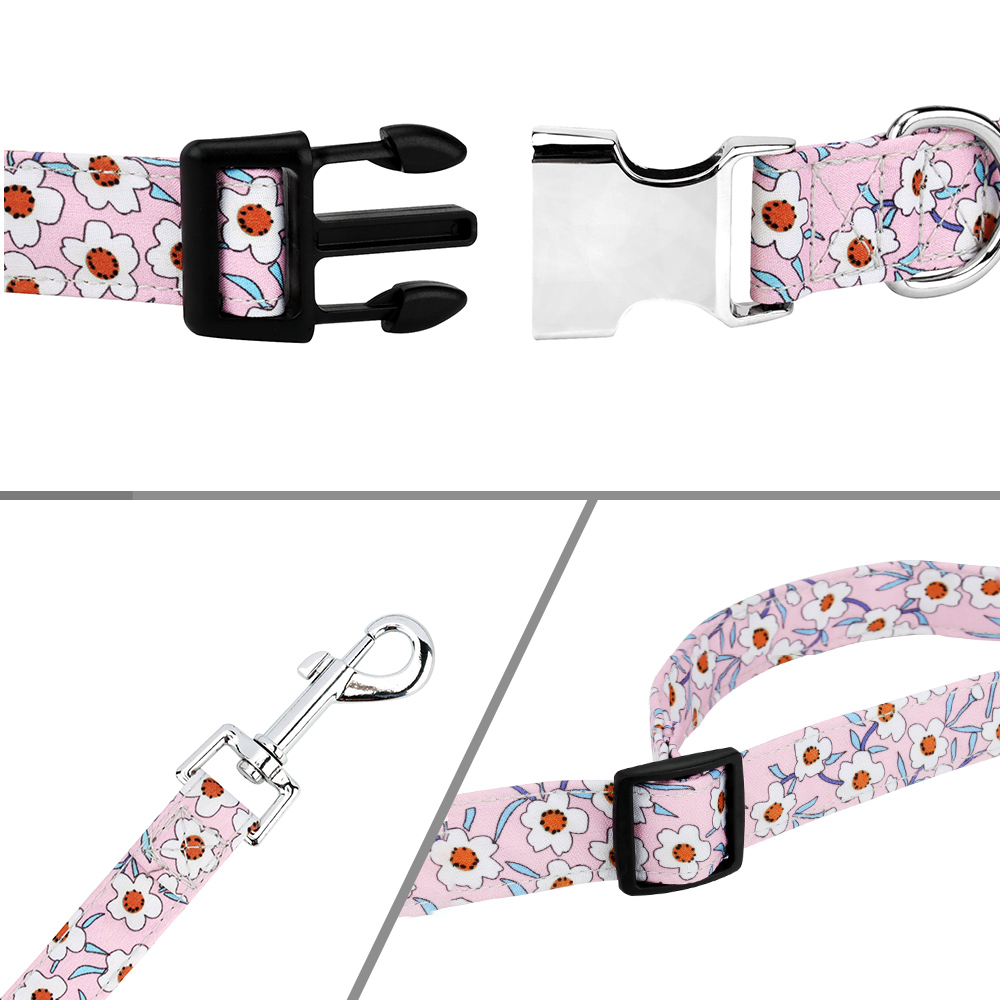 Dog Collar and Leash Set for Daily Outdoor Walking Running Training, Floral Spring Design for Small Medium Large Dogs Cats Pets
