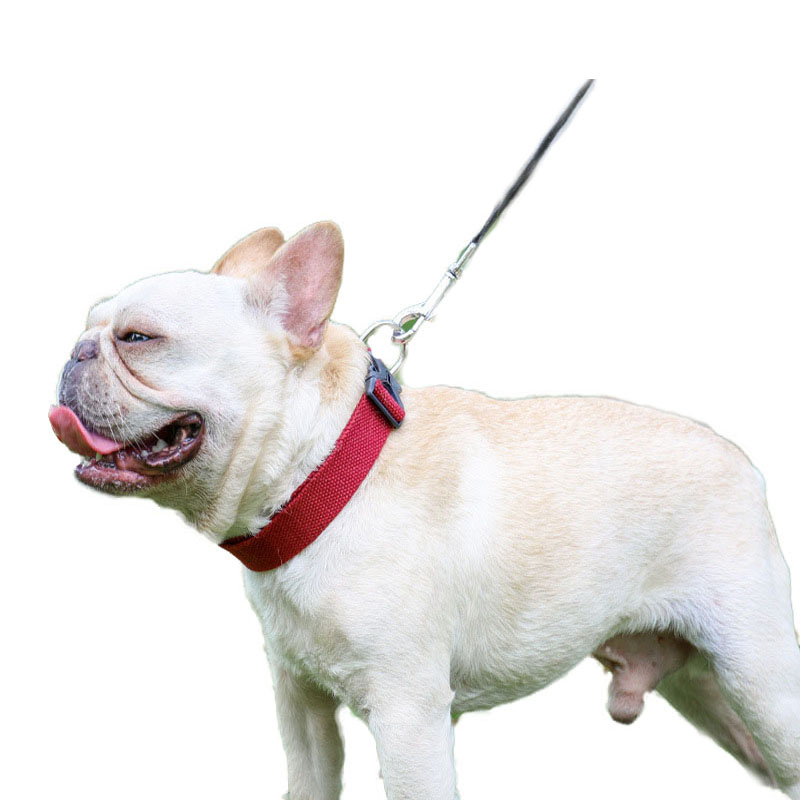 Adjustable Nylon Dog Collars Solid Color PU Leather Pet Neck Collar For Small Medium Large Dogs Cats Chihuahua Dog Accessories