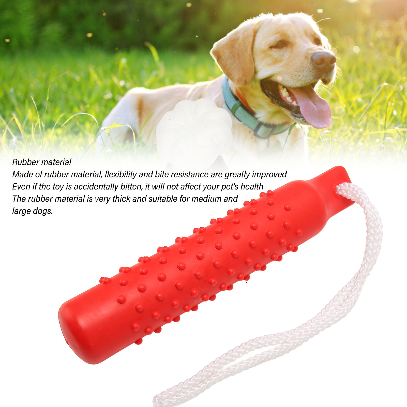Dog Squeaky Chew Toys Flexible Rubber Durable Dogs Toys With Raised Points For Aggressive Chewers Large Medium Breed Dog