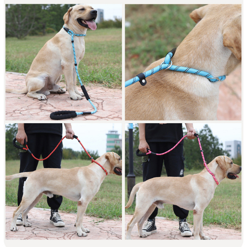 P Chain Integrated Dog Leash, Reflective Slip Training Lead for Medium &Large Dogs for Safe Night Walks Dog Leash Pet Slip Leash