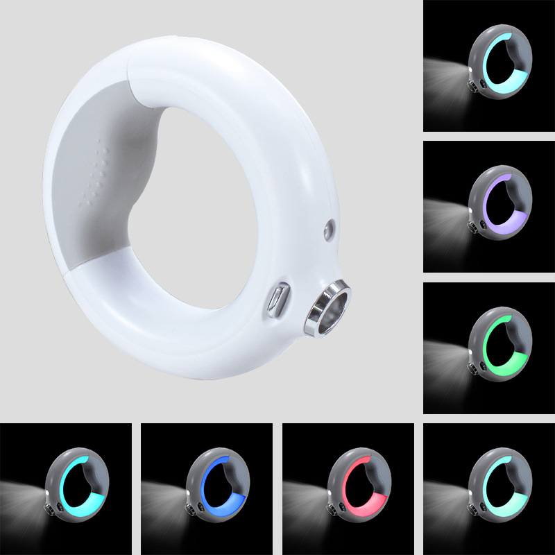 2022 Luxury Colorful Luminous New Pet Dog Leash LED Rope Leash