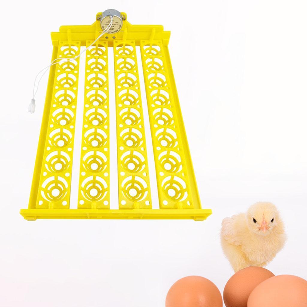 Egg Incubator Automatic Egg Turner Egg Hatcher 32 Eggs Temperature Control Poultry for Chicken Goose Duck Quail Supplies