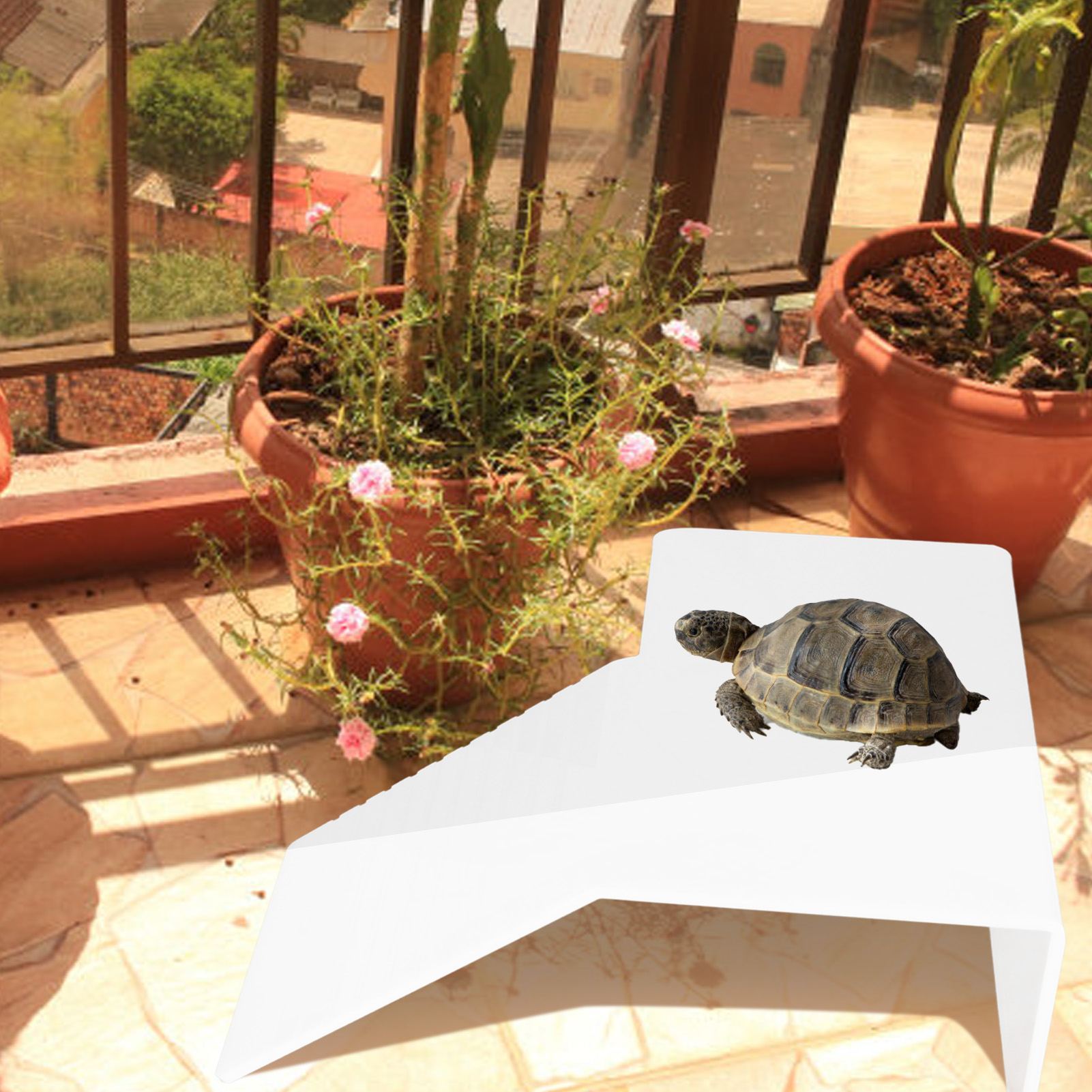 Acrylic Turtle Basking Platform Durable Slip Rasistant Deck Surface Stable Turtle Ramps For Climbing