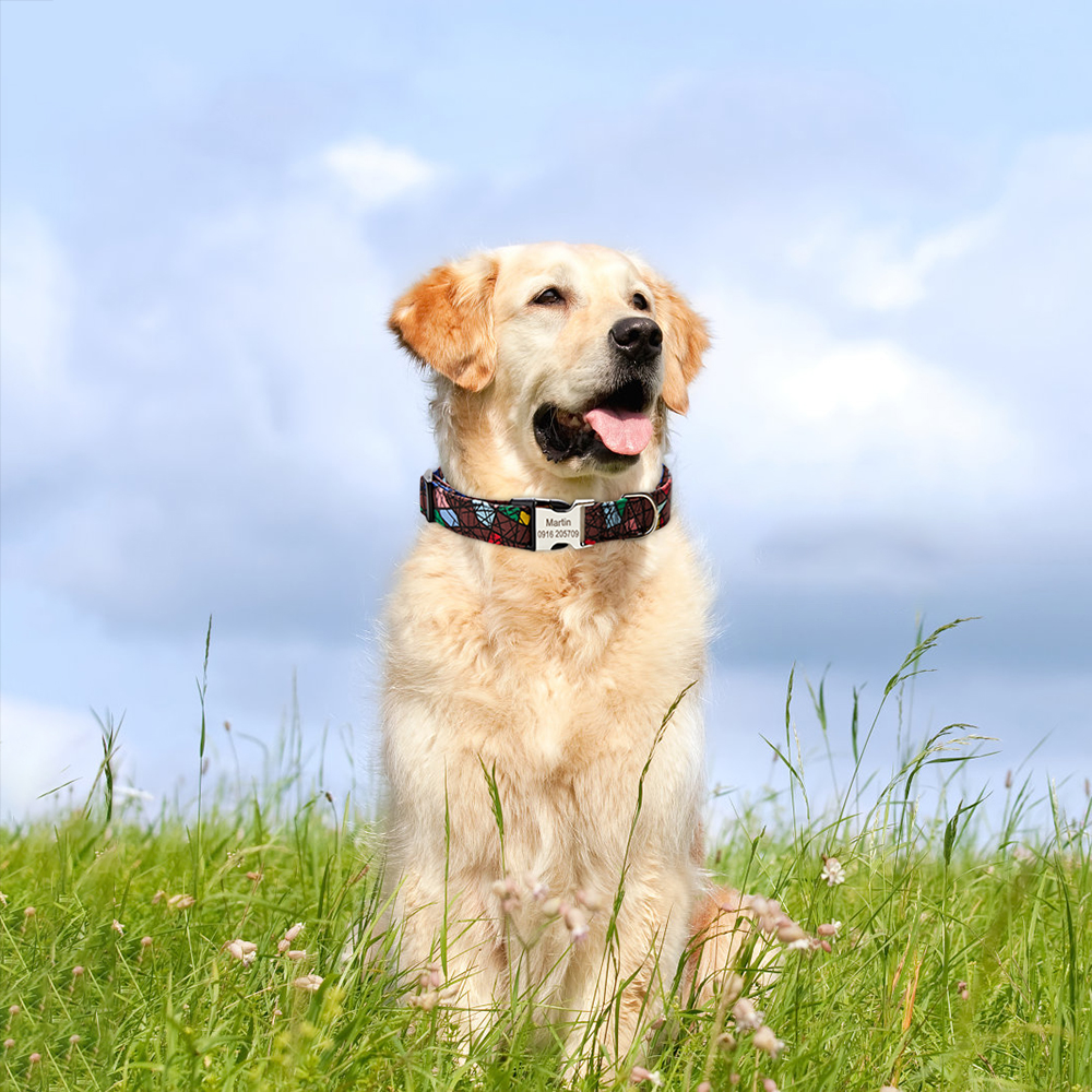 Adjustable Nylon Custom Name Free Nameplate Dog Collar Printed ID Tag Personalized Small Large Medium Pet Engraved Dogs Collars