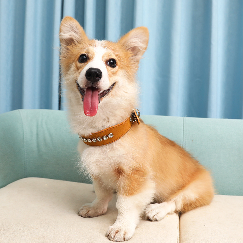 Leather Dog Collars Adjustable Multicolor Pet Collars with Shiny Rhinestones & Metal Fasteners Durable Pet Collar for Cats & Dog