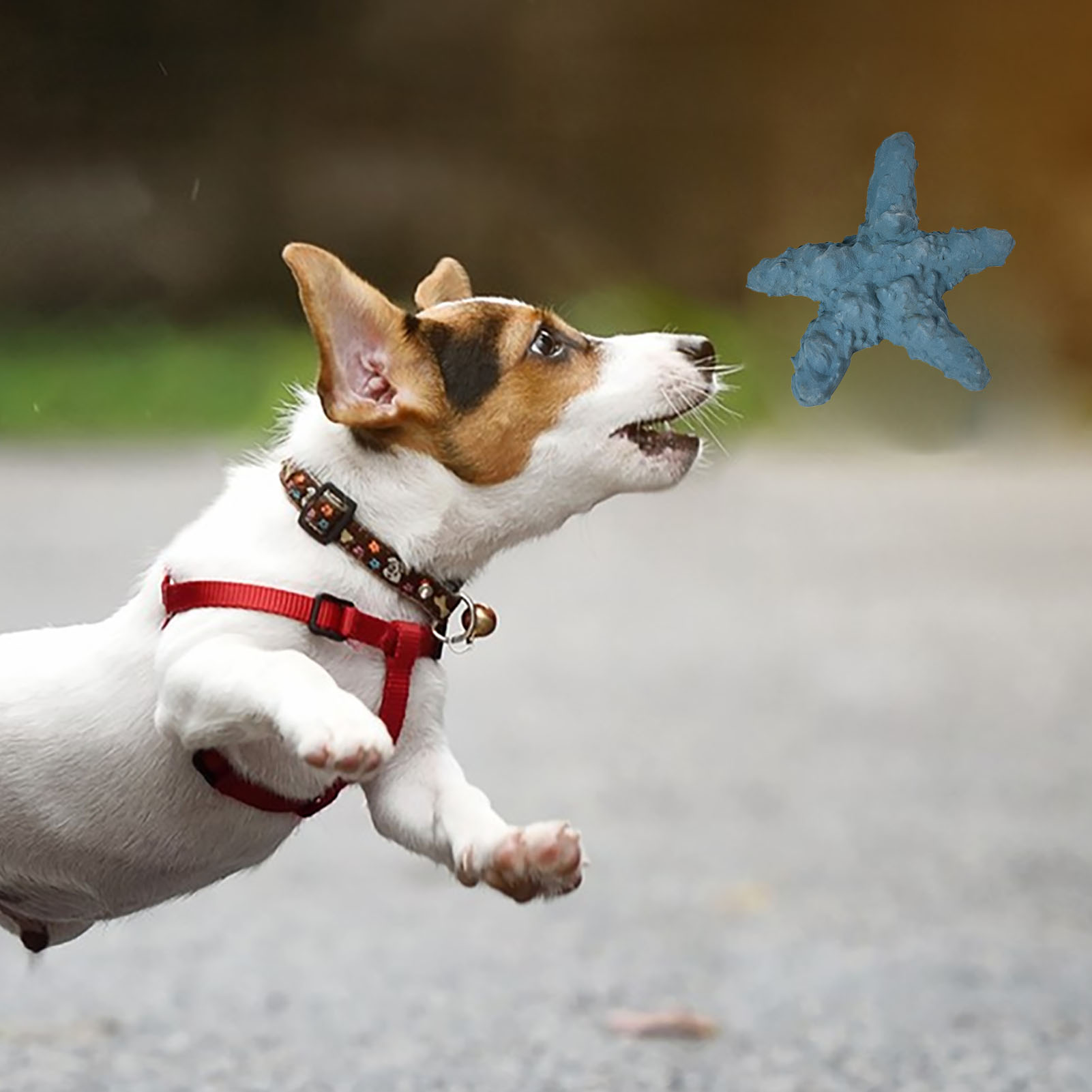 Dog Teething Doll Rubber Cute Starfish Style Soft Bright Colors Gum Massage Dog Chew Toy For Puppy Small Pet