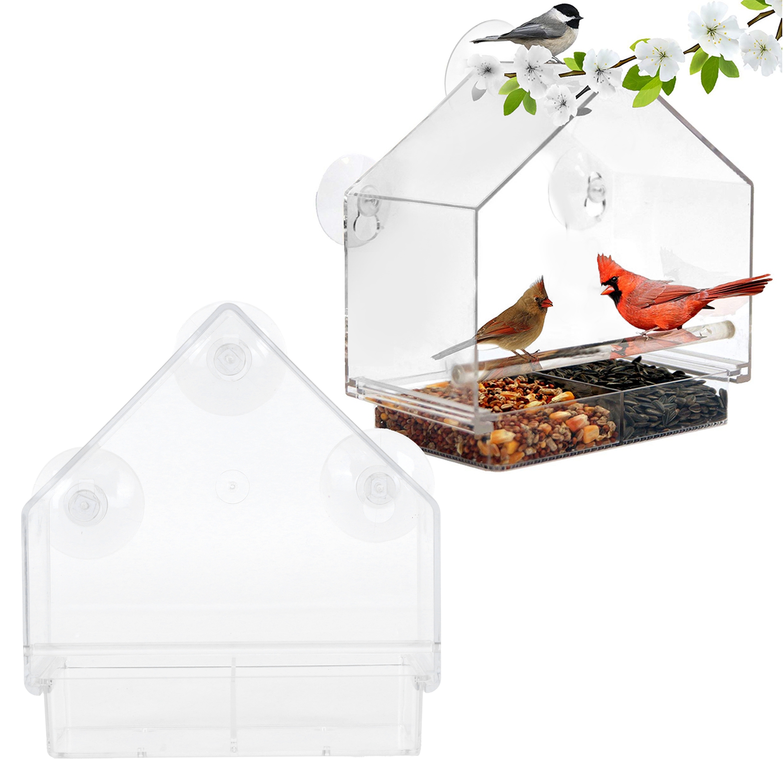 Indoor and Outdoor Hanging Bird Feeder, PS Transparent, Feeding Tool for Small Birds