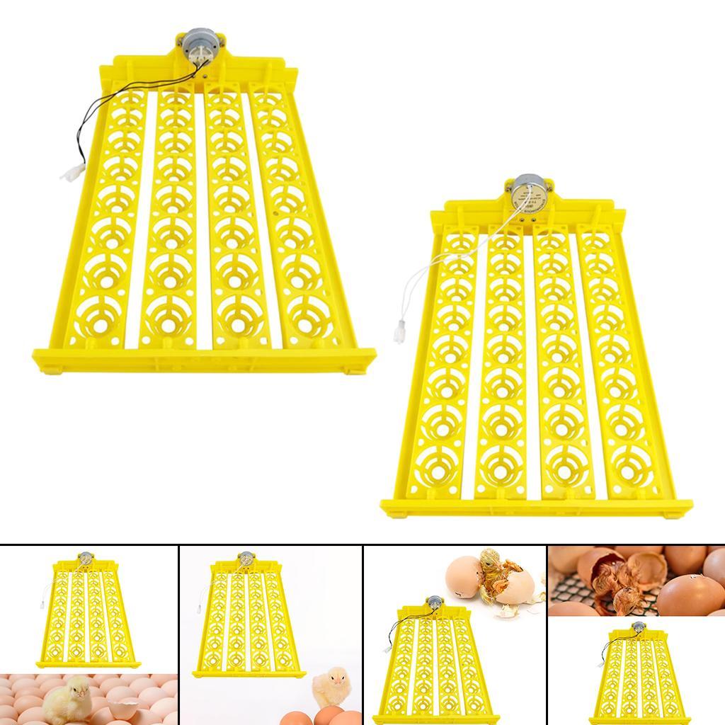 Egg Incubator Automatic Egg Turner Egg Hatcher 32 Eggs Temperature Control Poultry for Chicken Goose Duck Quail Supplies