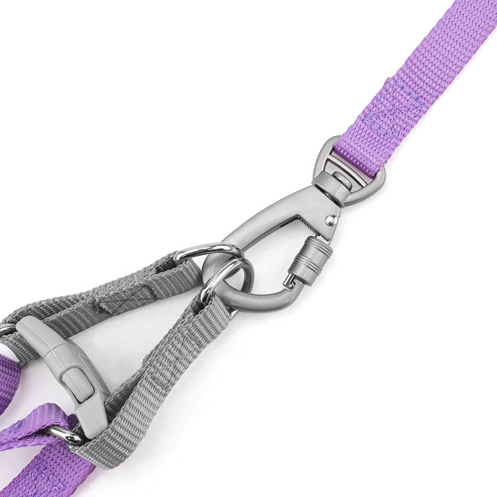 Adjustable Nylon Dog Leash Harness To Prevent Break Free Macaron Pet Harness and Leash Set for Small & Medium Dogs Dog Walking