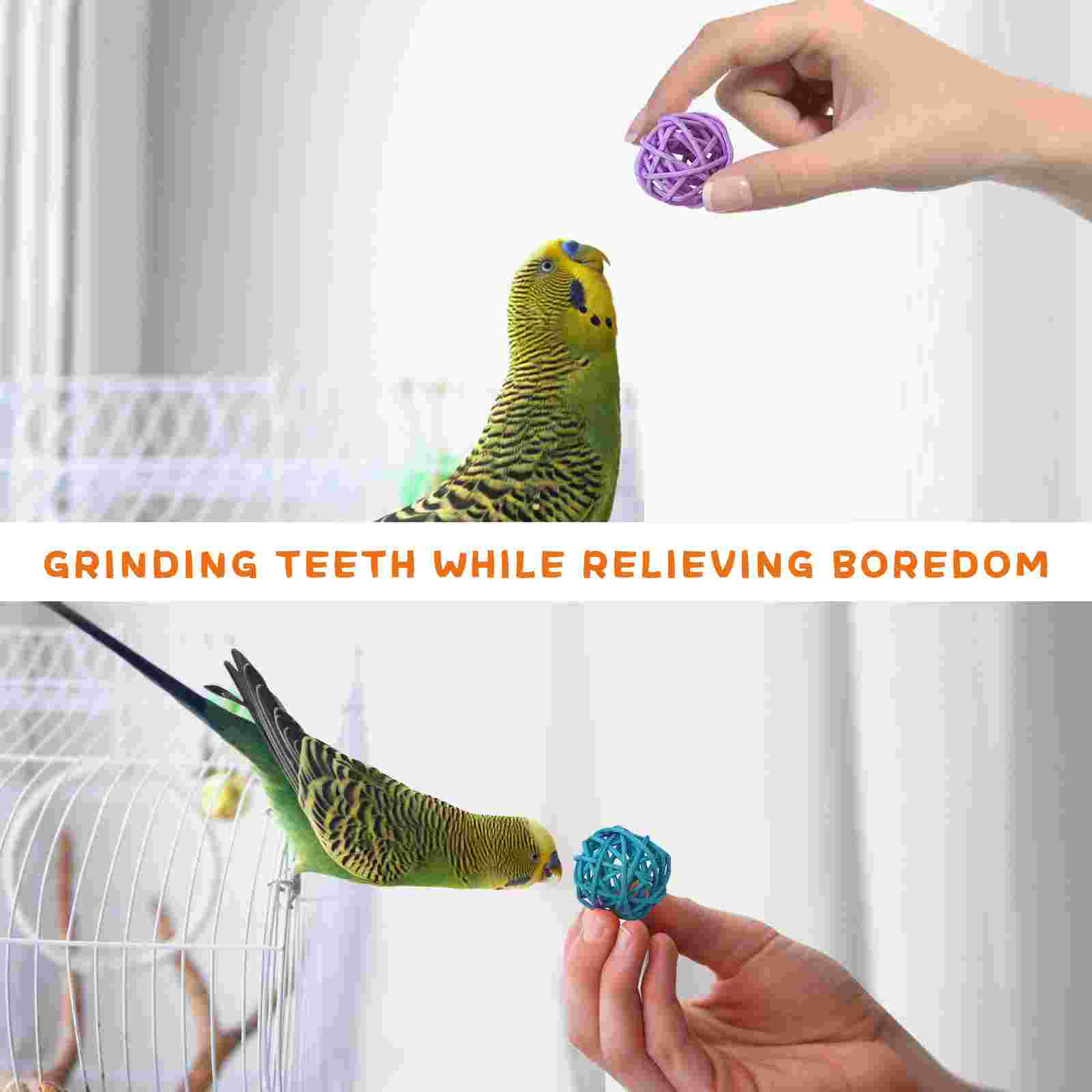 Parakeet Cage Accessories Parrot Takraw Ball Toy Rattan Balls Bird The Small Baby