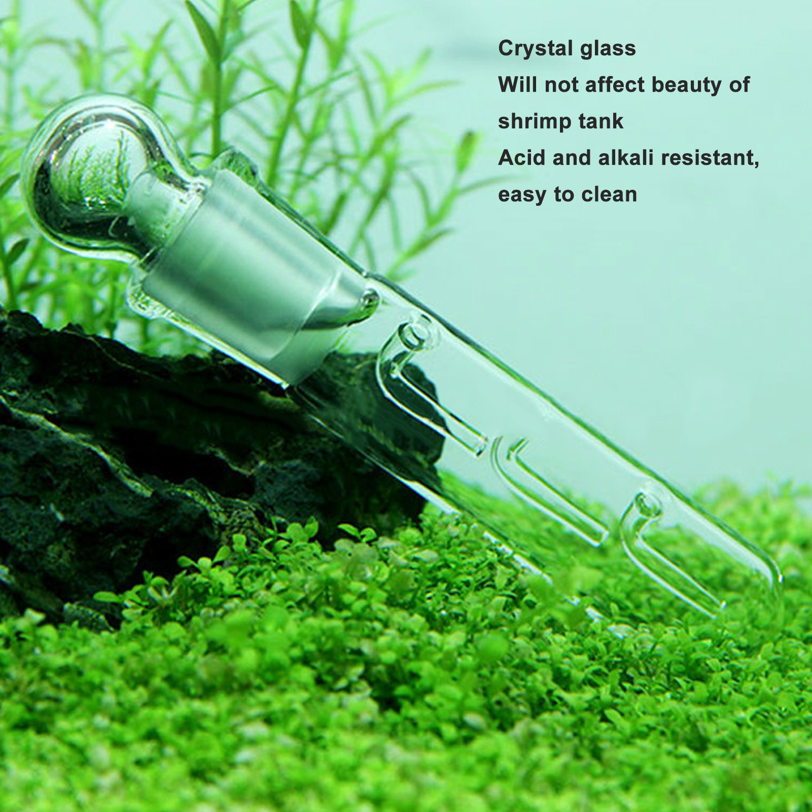Planaria Trap Transparent Glass Easy To Use 2 Hole 3 Hole 8 Hole Planaria Catcher For Fish Tank Shrimp Tank
