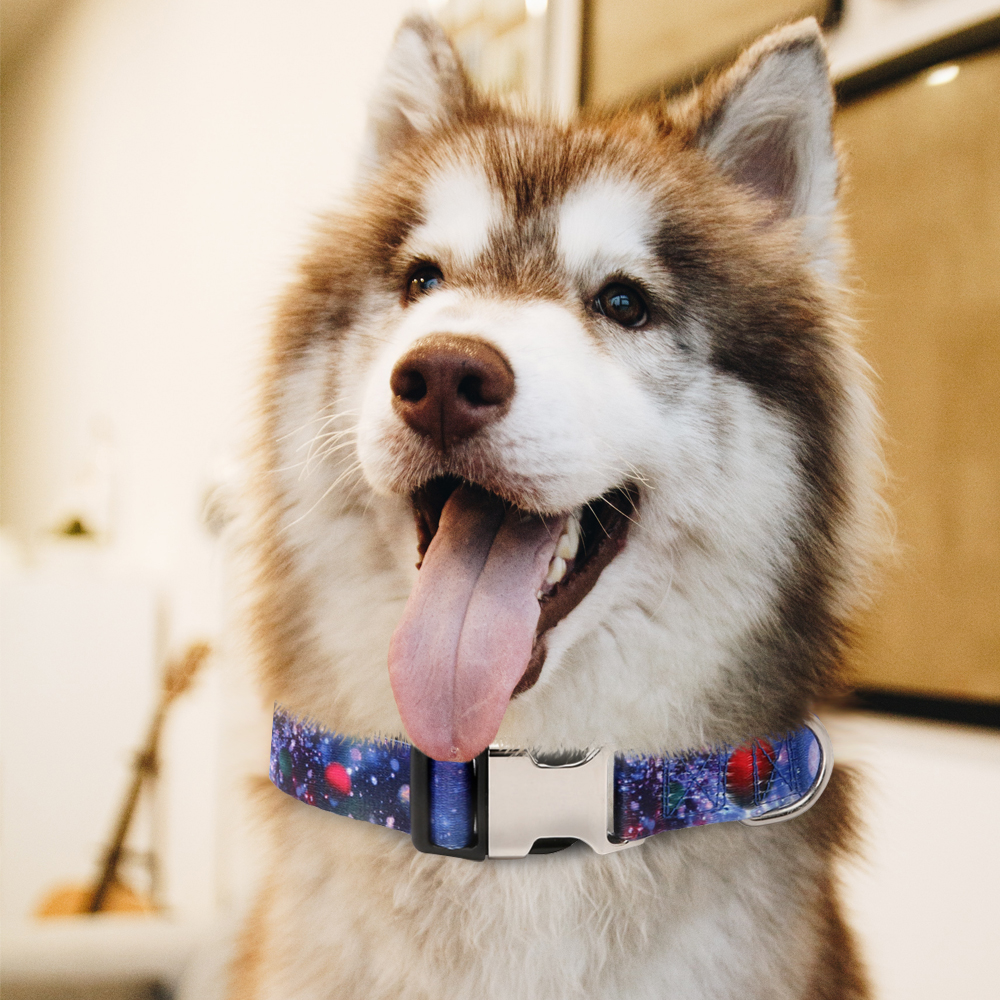 Custom Dog Collar Adjustable Nylon Printed ID Tag Name Free Nameplate Personalized Small Large Medium Pet Engraved Dogs Collars