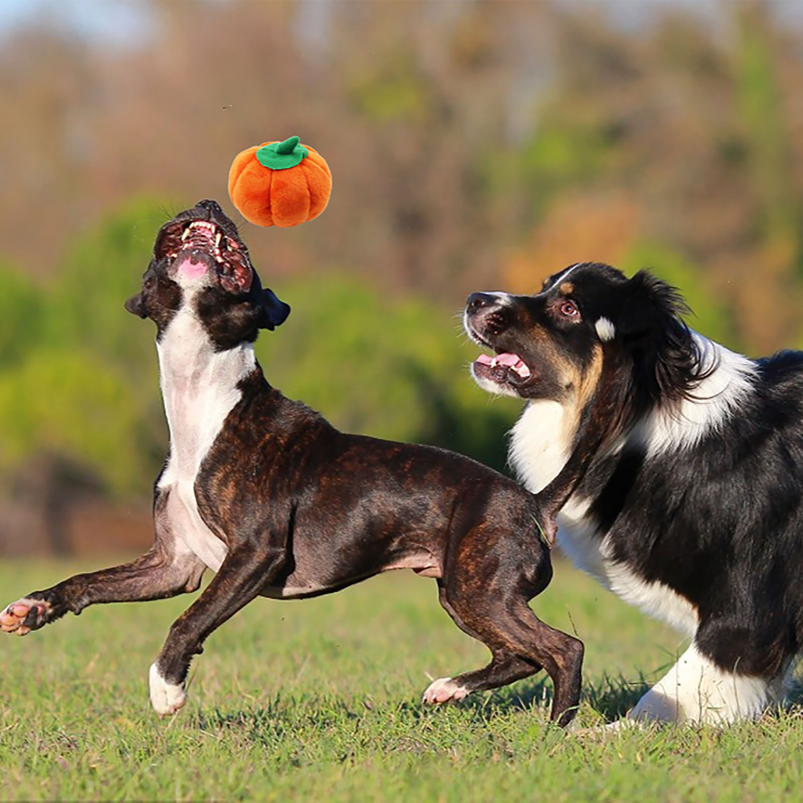Dog Plush Toy Cute Pumpkin Shape Squeaky Bite Resistant Stuffed Dog Plush Toy For Teeth Grinding Relieve Boredom