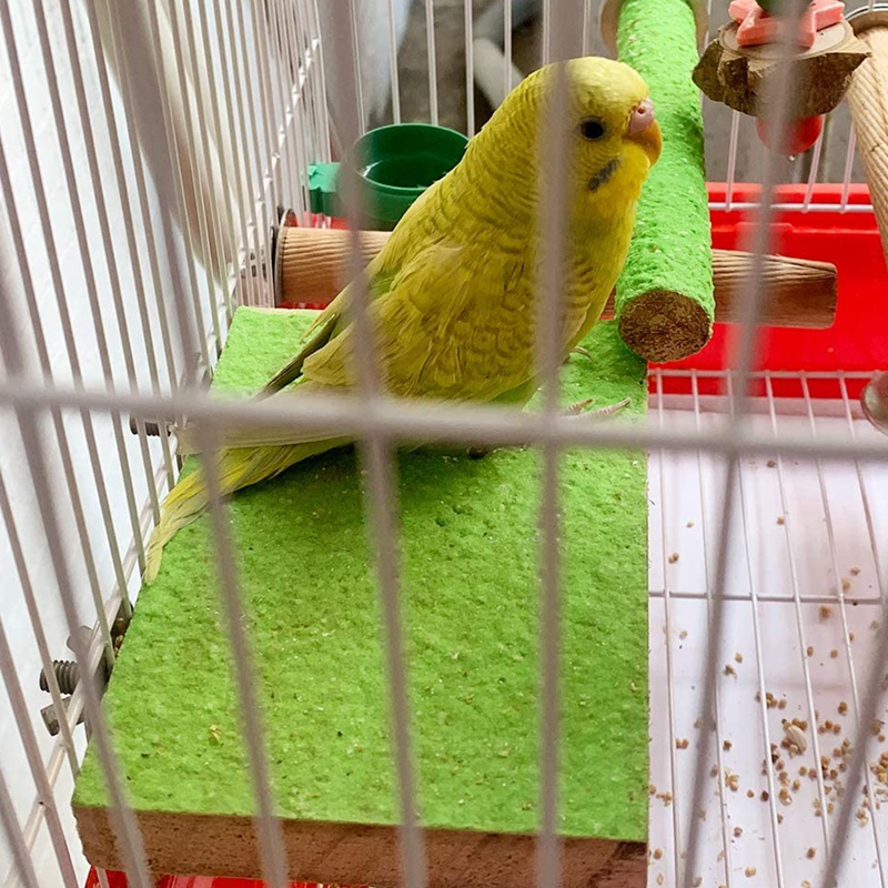 AAAC-Bird Perch Parakeet Toys Conures Stand 5 PCS Rough Sand Wood Perch Parrot Cage Accessories