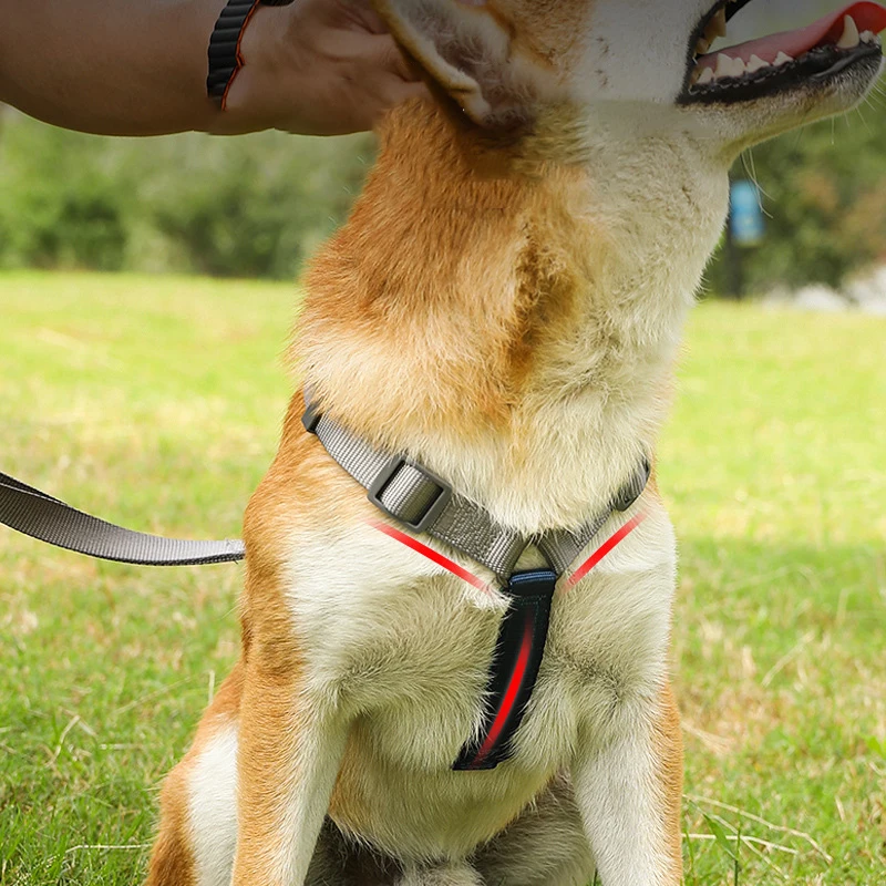 Pet Harness and Leashes Adjustable Dog Harness Medium & Large Dog Walking Leash Explosion-proof Punching Dog Chain Pet Supplies