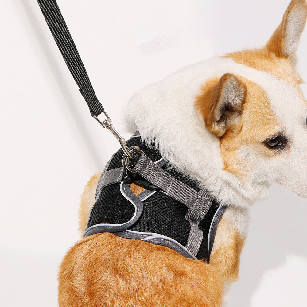 Pet Harness and Leash Set Vest-type Dog Harness Small & Medium Dogs Reflective Anti-breakaway Mesh Breathable Cat Chest Harness