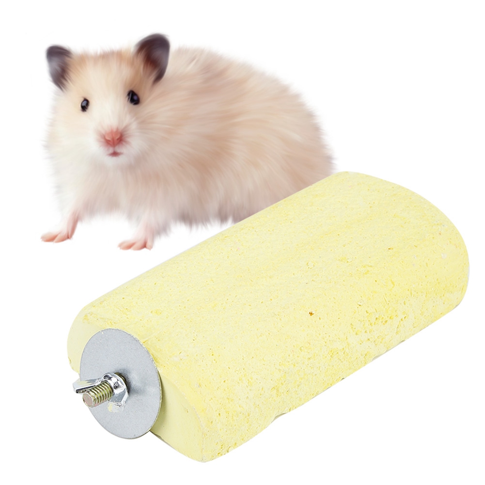 Totoro Squirrel Hamster Standing Platform Parrot Grinding Stone For Bird Accessories