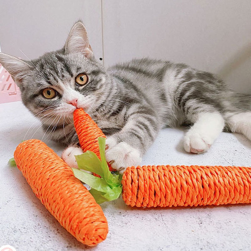 Pet Cat Toy Paper Rope Knitting Carrot Chew Toys Built-in Bell Vocal Interaction Teeth Grinding Clean Teeth Cat Accessories