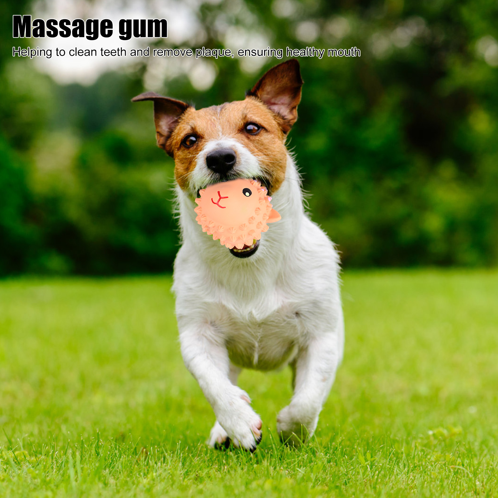 Pet Chewing Stab Ball Safe Latex Pet Biting Stab Ball Toy Medium Interactive Training Ball For Dogs Cats