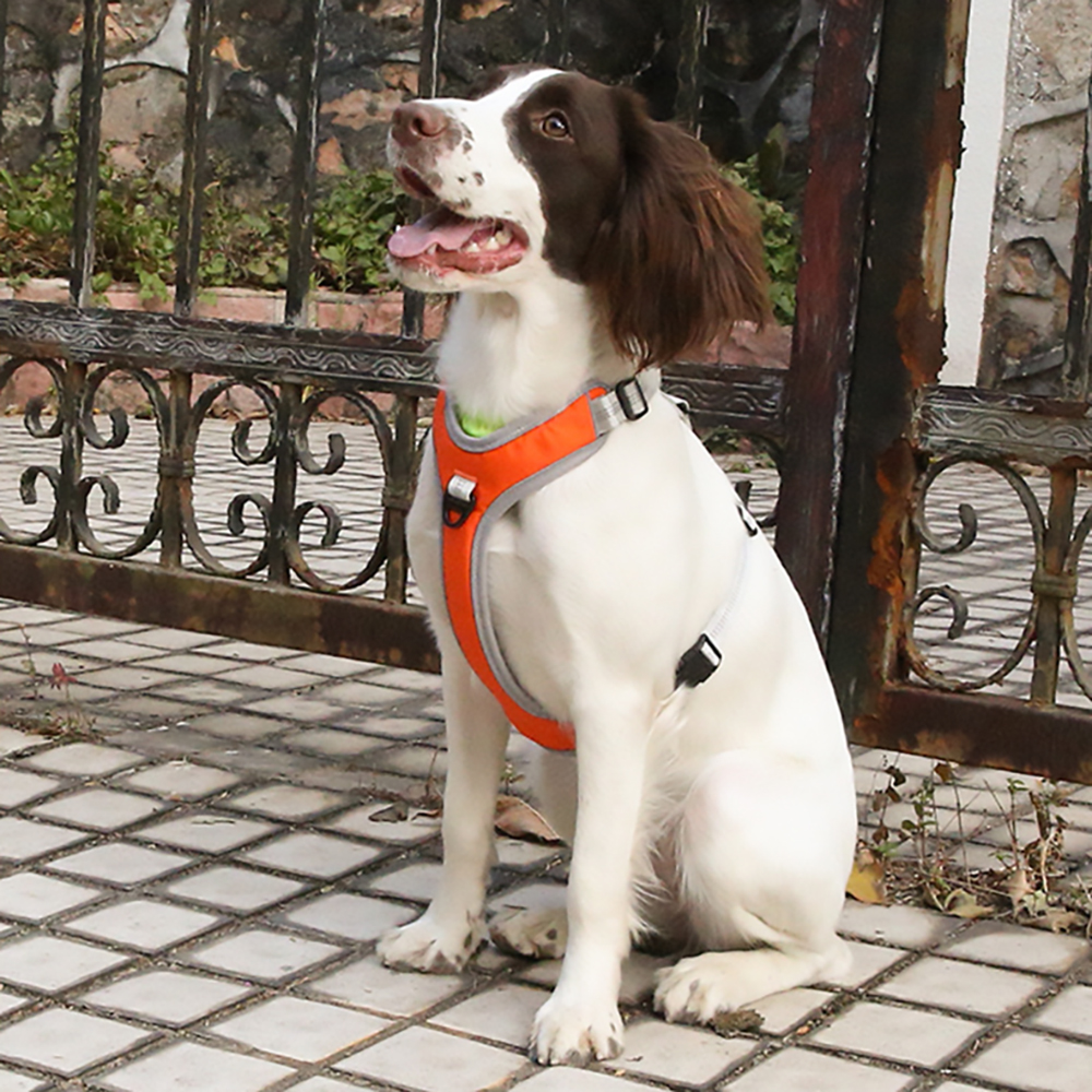 Reflective Dog Harness and Leash Set, Vest Style Adjustable Blast Proof Design Dogs Harness for Medium and Large Dogs Outdoors