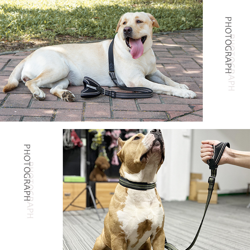 Reflective Retractable Dog Leash, Nylon Adjustable Sleeve Grip Pet Leash, Pet Accessories for Small and Medium Dogs & Large Dogs