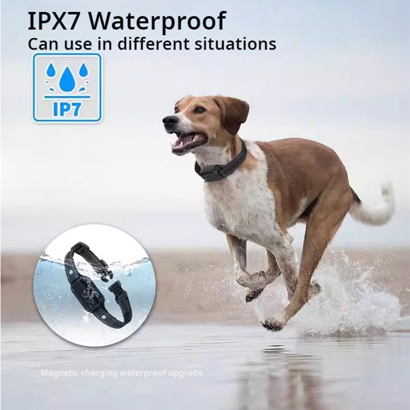 Dog Training Collar Dog Shock Collar With Remote 2600FT Electric Dog Training Collar With 3 Training Modes 16 Level Adjustable S