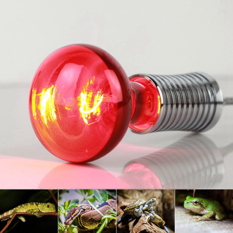 100W 4Pack Infrared Heat Lamp Bulb Red Light Heat Bulbs For Pet Lizards Bearded Dragons Chameleons Snakes Reptiles 220V