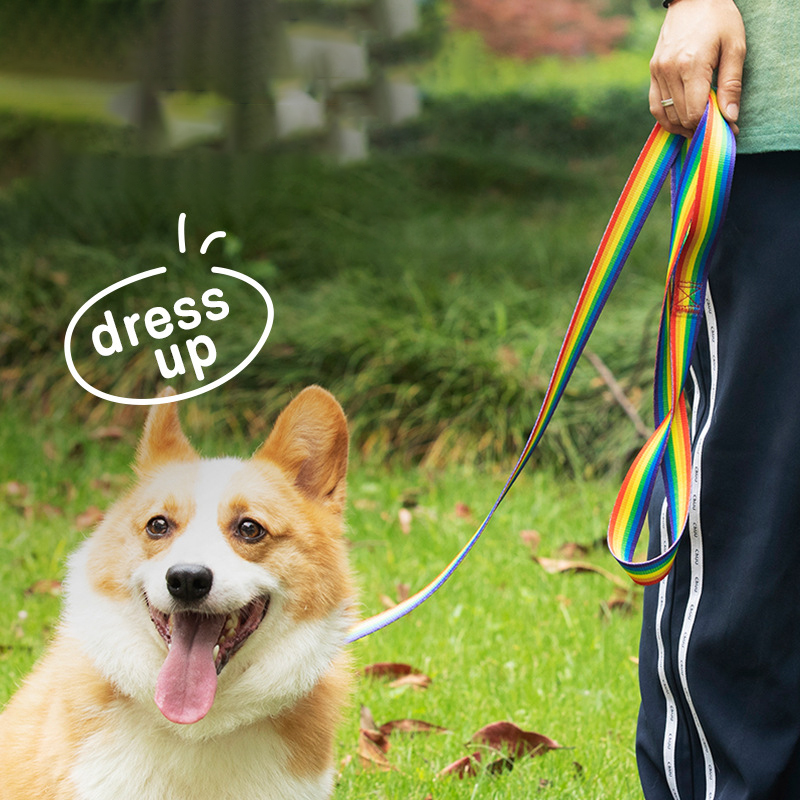 Macaron Color Pet Collar and Leash Set Small and Medium Dogs Adjustable Dog Collar and 150cm Dog Leash Dog Leash for Cats & Dogs