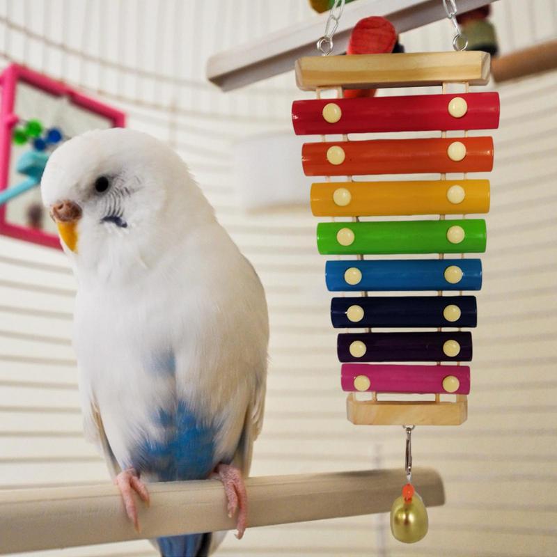 Parrot Educational Chicken Xylophone Toy For Hens Suspensible Wooden Chicken Coop Chew Pecking Toy Macaw Training Play