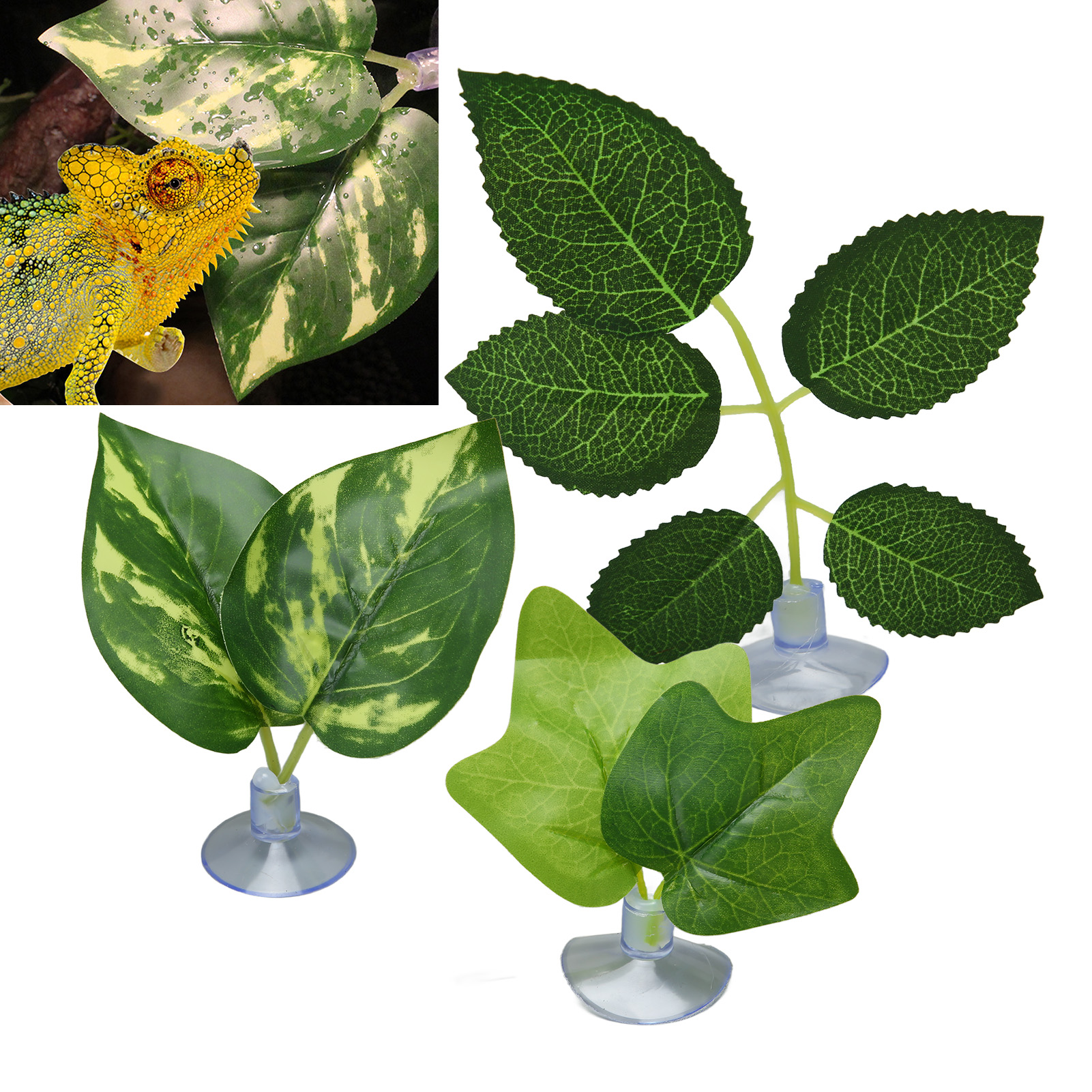 Betta Fish Leaf Pad Simulating Colorfast Odorless Fish Hammock Resting Leaf With Suction Cup For Habitat Tank Decor