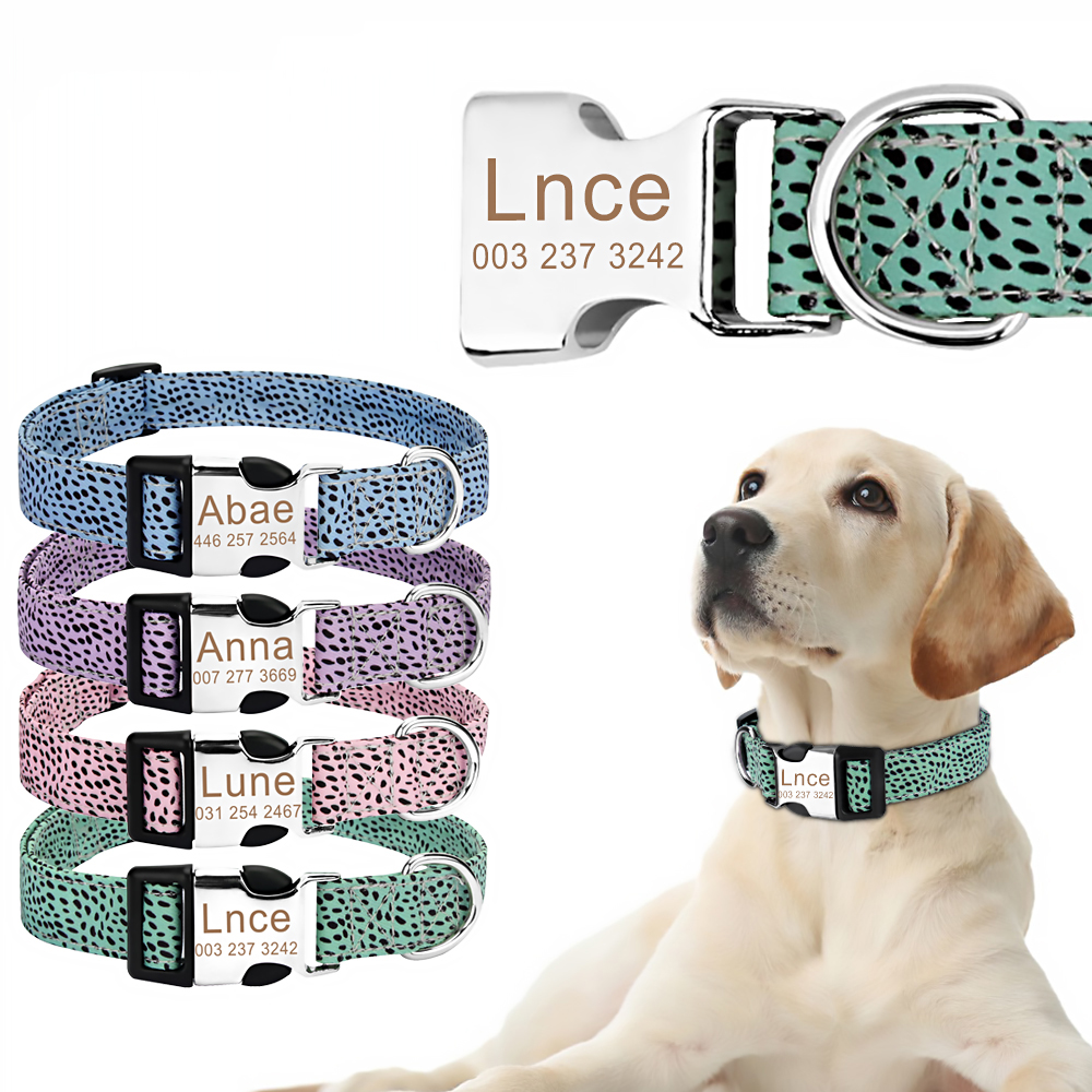 Dog Collar and Leash Set Combo Safety Set for Daily Outdoor Walking Running Training Small Medium Large Dog Custom Nameplate ID