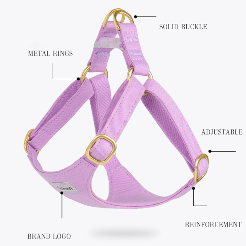 Dog Harness and Leash Set Vest Style Dog Leash Adjustable Small Dog Harness Teddy Cute Pet Supplies for Cats & Puppies Supplies