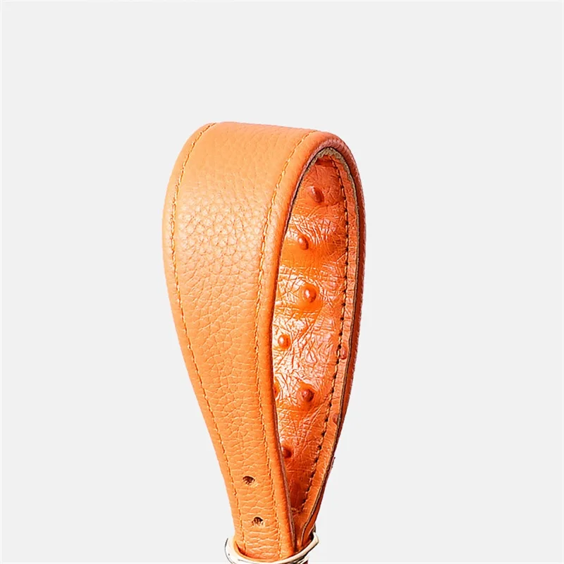 Leather Dog Collar Fashion Solid Color Ostrich Pattern Adjustable Pet Neck Ring Suitable For Small Large Dogs Kitten Puppy Items