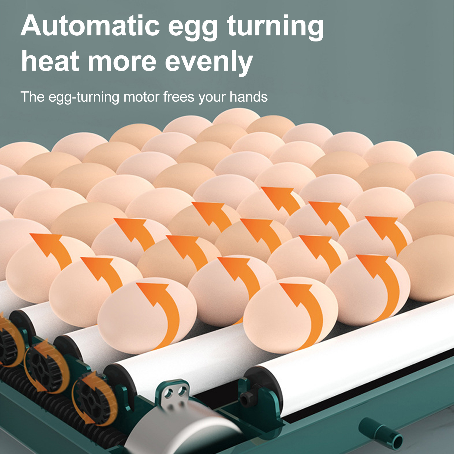 9/15/30/48 Eggs Incubator With Automatic Egg Turning Humidity Monitoring Temperature Control Automatic Intelligent Incubator