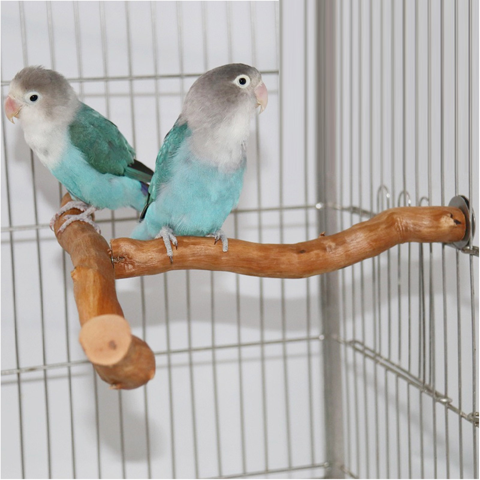T Shaped Wood Bird Perch Fun Paw Grinding Chewing Exercising Relieve Boredom Wooden Parrot Stand For Bird Cage