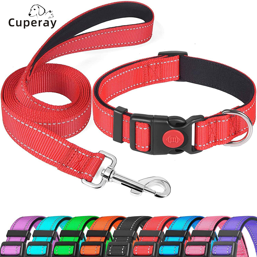 Reflective Nylon Dog Collar and Leash Set-Soft Neoprene Padded, Adjustable Dog Collars with Safety Buckle for Small Medium Dogs