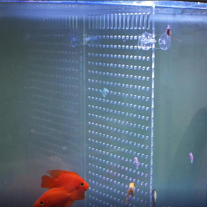 5 Pieces Aquarium Divider Clips with Suction Cups Transparent Acrylic Fish for Tank Separating Plate Holder Easy to Inst