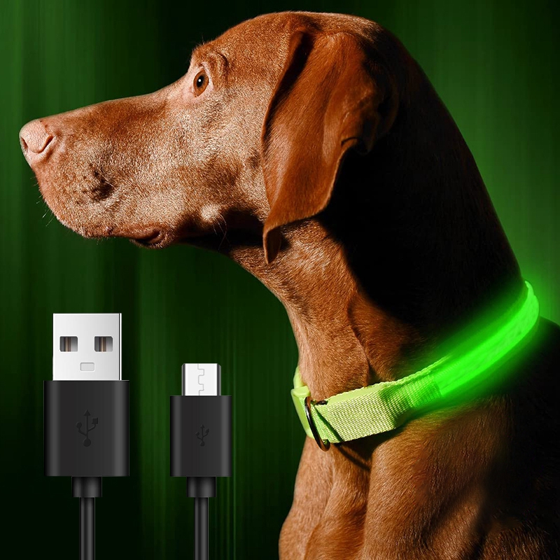 LED Glowing Dog Collars Light Luminous Flashing Glowing Bright Collar for Dogs Night Safety Dog Walking Supplies Pet Products