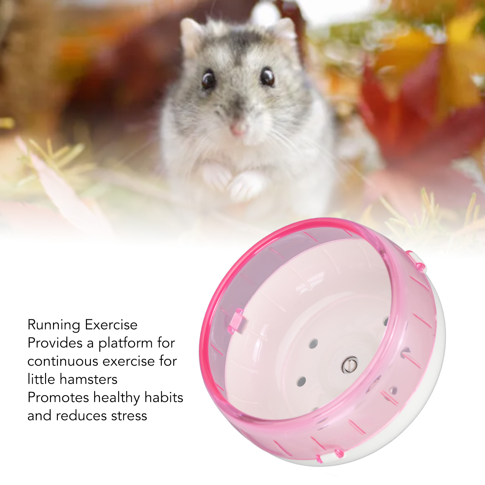 Running Wheel for Golden Bear Sugar Glider, Hamster Exercise Wheel, Interesting Small Pet