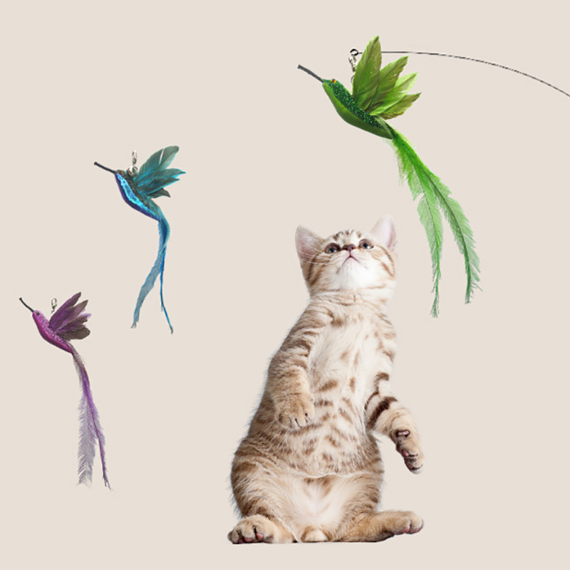 Cat Catcher Head Feather Bird Replacement Heads Simulation Bird Cat Toy Kitten Wand Toy Interactive Cat Feather Toys