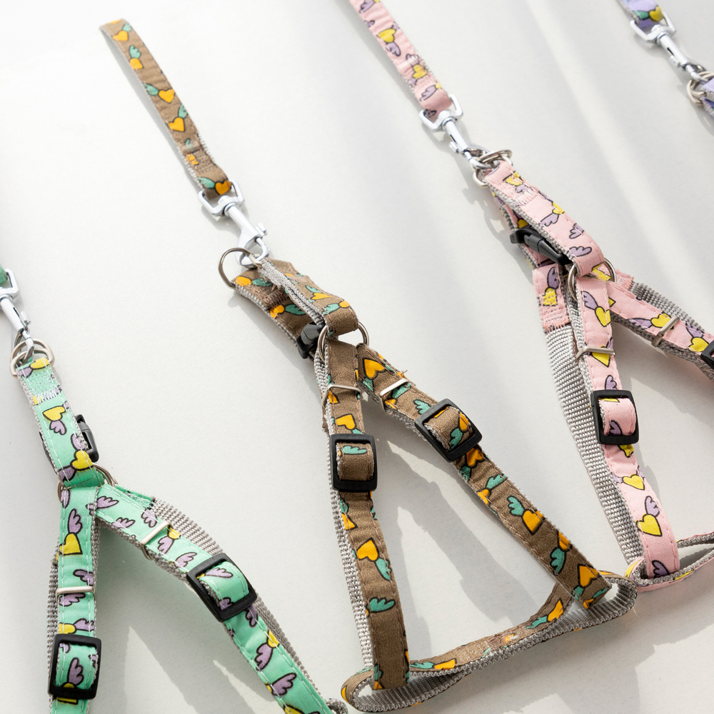 Pet Leash and Harness Set To Prevent Breakaway Cat Leash Comfortable Not Strangulation Adjustable for Cats and Puppies Supplies