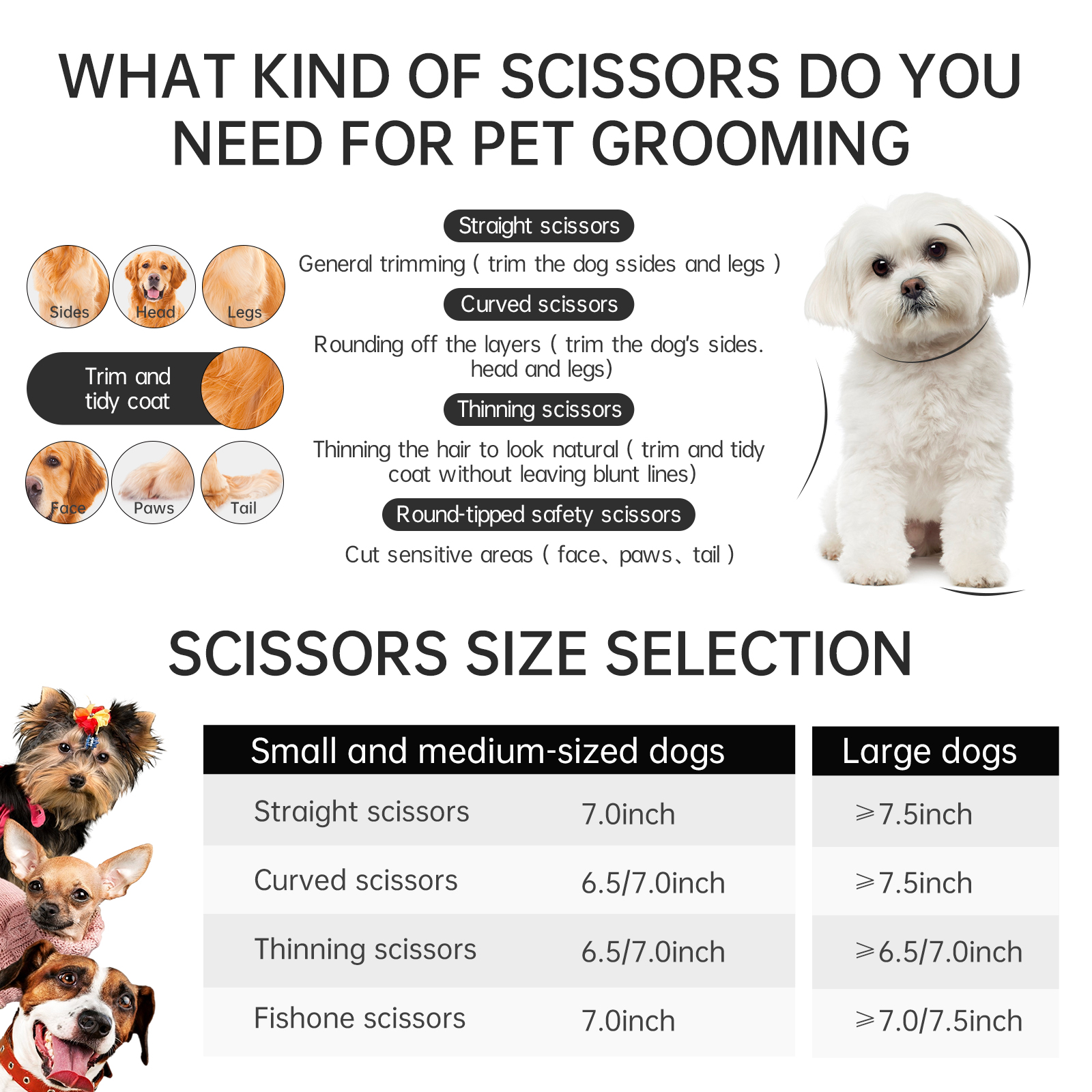 10 inch Japan 440c Straight Scissors paint Shaped Scissors Pet Grooming Veterinary Scissors