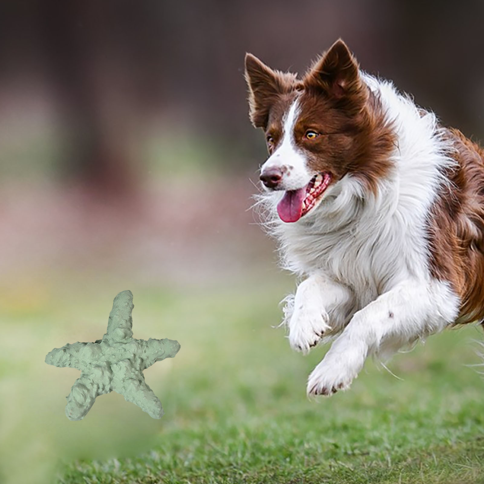 Dog Teething Doll Rubber Cute Starfish Style Soft Bright Colors Gum Massage Dog Chew Toy For Puppy Small Pet