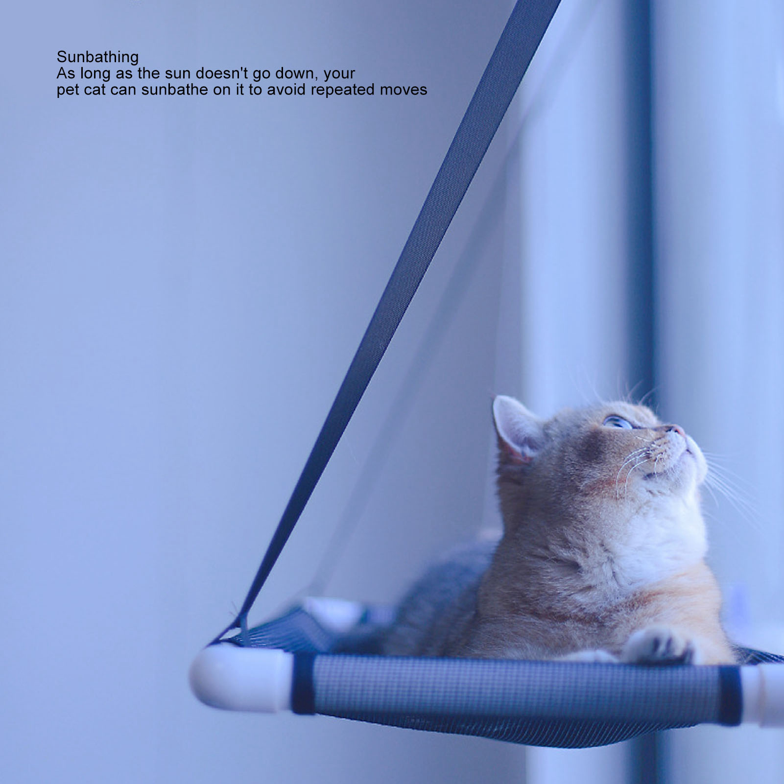 Cat Window Hammock With Suction Cups Space Saving Washable Window Mounted Cat Seat Bed For All Around Sunbath